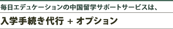 基本は手続き代行+オプション
