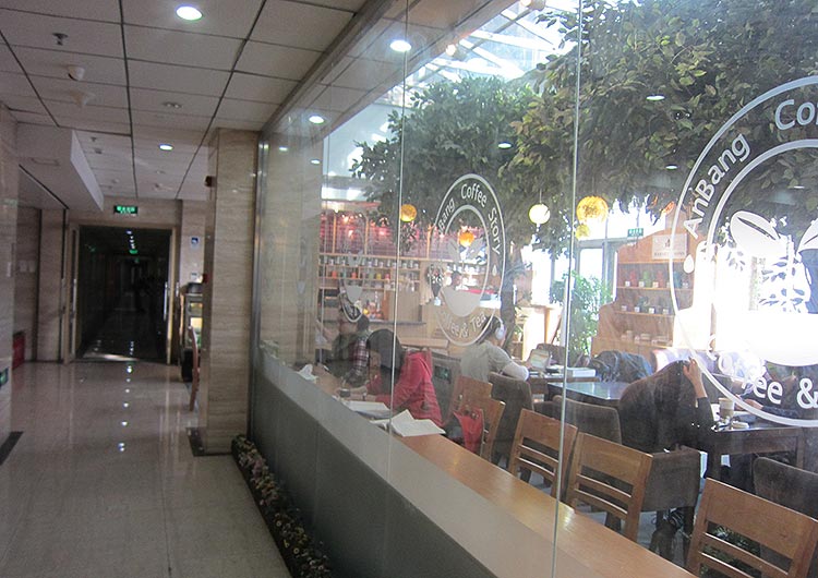交流センター内のカフェは緑あふれるモダンな空間