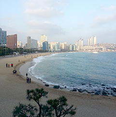 ▲集中できなくなったら海辺を散歩。ソウルにはない良さです。