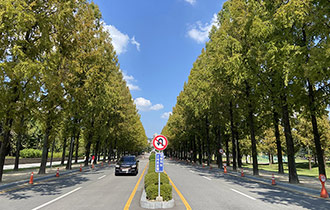 国立全南大学校 