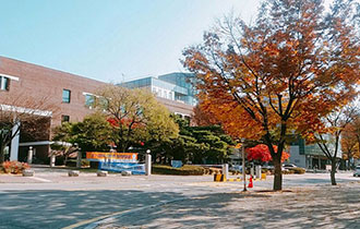 ソウル大学校