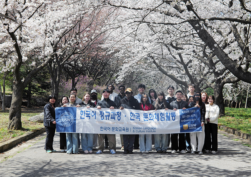 水原大学の春は桜が満開に(水原大学提供)