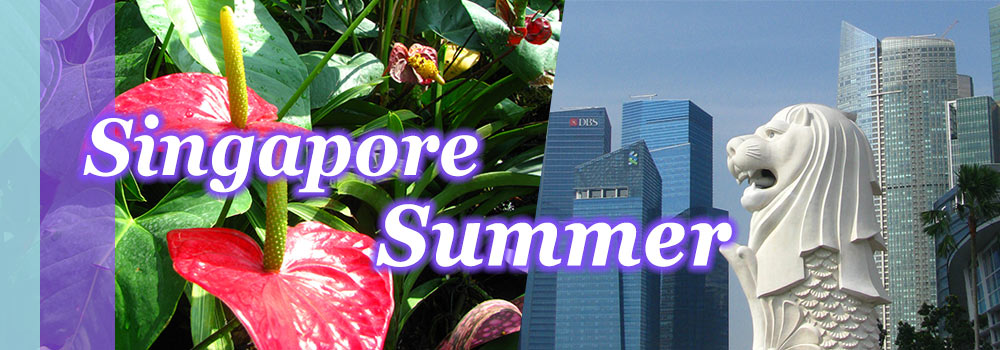 シンガポール短期留学・夏休み