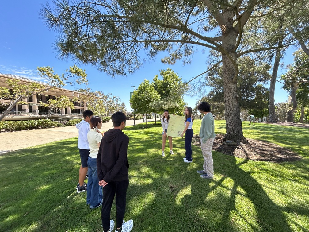 屋外でプロジェクト