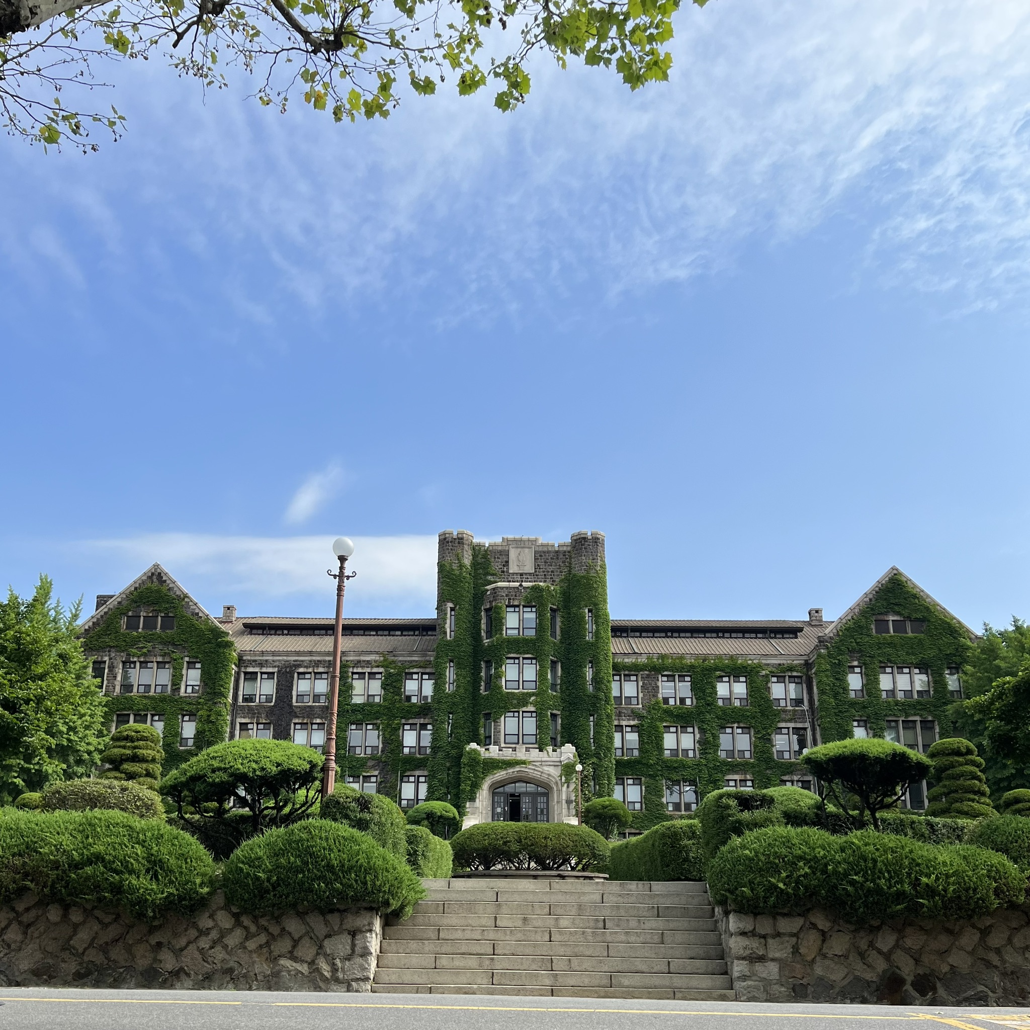 延世大学