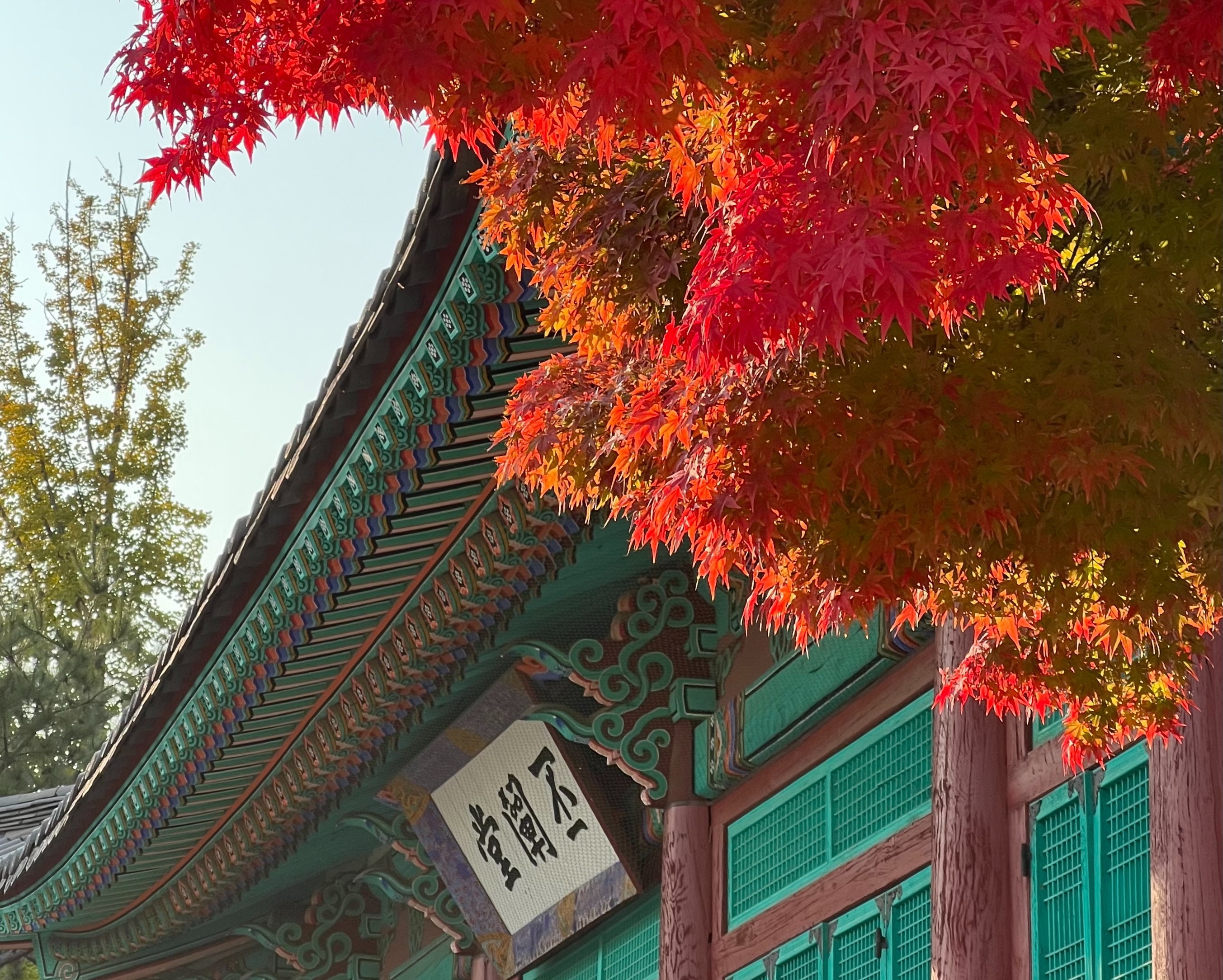 歴史ある建物×紅葉🍁