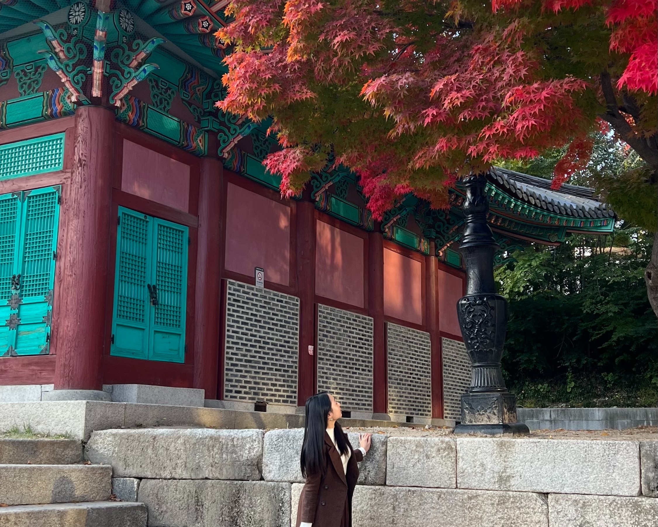 銀杏・紅葉・桜のフォトスポット